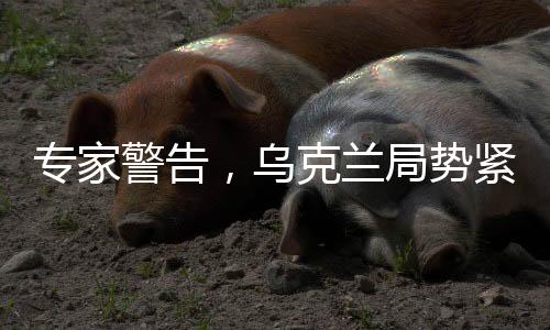 專家警告，烏克蘭局勢緊張，和平前景堪憂