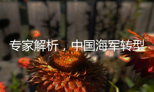 專家解析，中國海軍轉(zhuǎn)型為戰(zhàn)略性海軍的重大意義