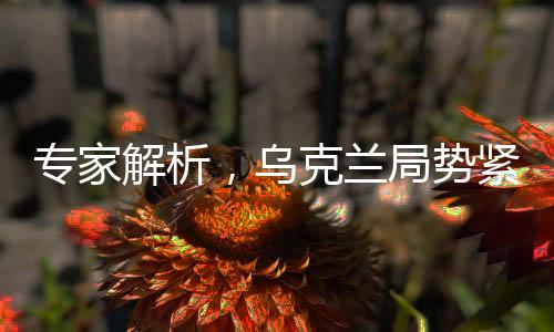 專家解析，烏克蘭局勢(shì)緊張，和平前景堪憂