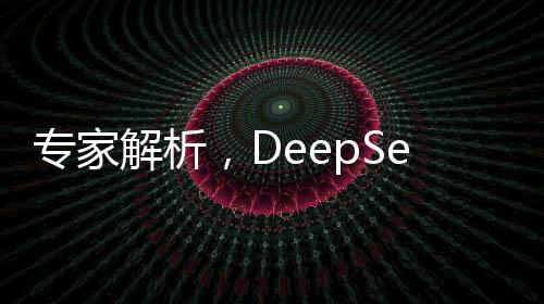 專家解析，DeepSeek項(xiàng)目的成功究竟是誰的勝利？