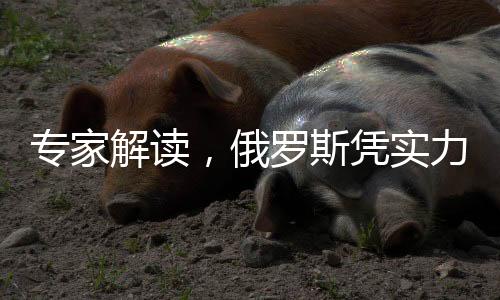 專家解讀，俄羅斯憑實(shí)力推動(dòng)美俄關(guān)系正常化