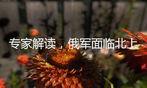 專家解讀，俄軍面臨北上西進(jìn)戰(zhàn)略抉擇