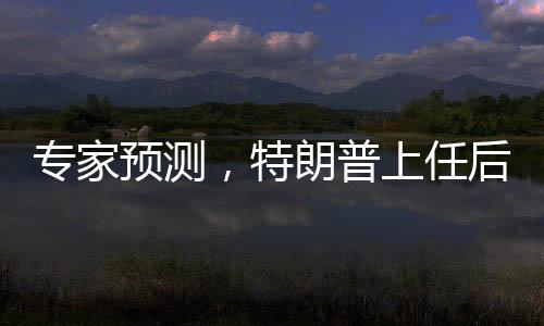 專家預(yù)測，特朗普上任后將遭遇多重阻力