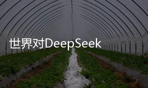 世界對(duì)DeepSeek的驚嘆持續(xù)不斷
