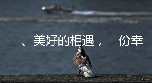 一、美好的相遇，一份幸福的聯(lián)姻——兒媳與對聯(lián)的故事啟幕
