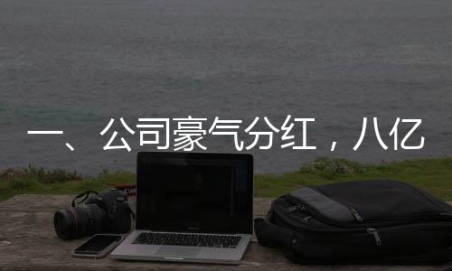 一、公司豪氣分紅，八億獎(jiǎng)金花落誰(shuí)家？
