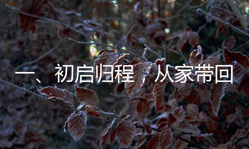 一、初啟歸程，從家?guī)Щ?0斤年貨喜悅迎新春