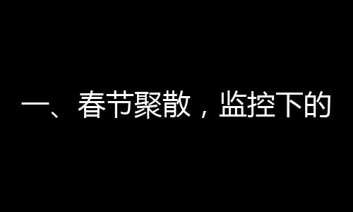 一、春節(jié)聚散，監(jiān)控下的中國人過年場景