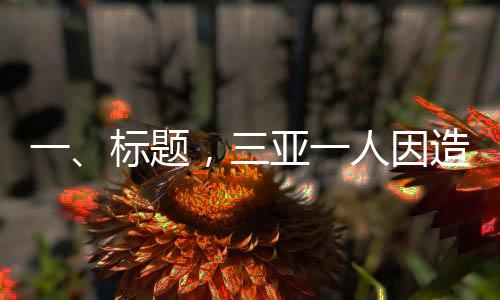 一、標題，三亞一人因造謠空城現(xiàn)象被處罰，嚴厲打擊網(wǎng)絡虛假信息擴散
