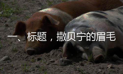 一、標(biāo)題，撒貝寧的眉毛，焦點(diǎn)之下的藝術(shù)之美
