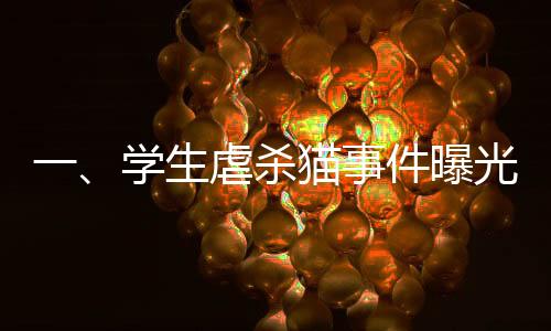 一、學(xué)生虐殺貓事件曝光，引發(fā)社會廣泛關(guān)注