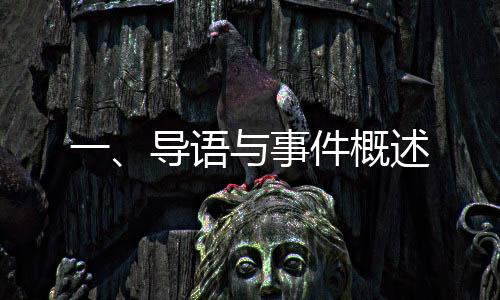 一、導(dǎo)語與事件概述