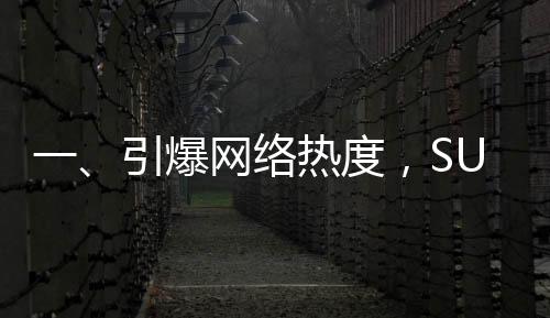 一、引爆網(wǎng)絡(luò)熱度，SU7 Ultra車主交付視頻席卷全網(wǎng)