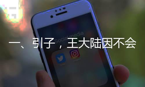 一、引子，王大陸因不會(huì)開特斯拉車門捶窗事件引發(fā)關(guān)注