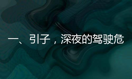 一、引子，深夜的駕駛危機(jī)，時(shí)間考驗(yàn)人生選擇