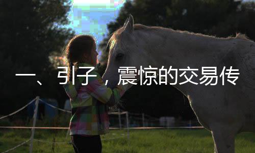 一、引子，震驚的交易傳聞
