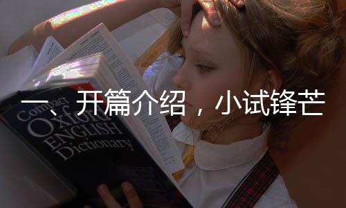 一、開篇介紹，小試鋒芒，邁向汽車行業(yè)新紀(jì)元