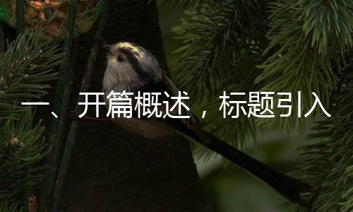 一、開(kāi)篇概述，標(biāo)題引入時(shí)代之新曲
