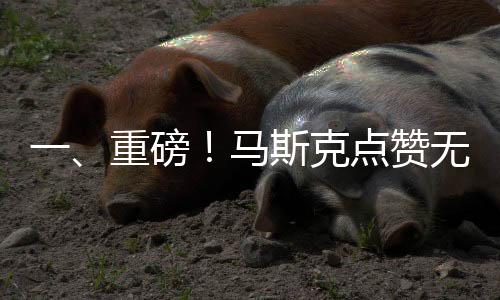 一、重磅！馬斯克點贊無錫拈花灣迎新年視頻