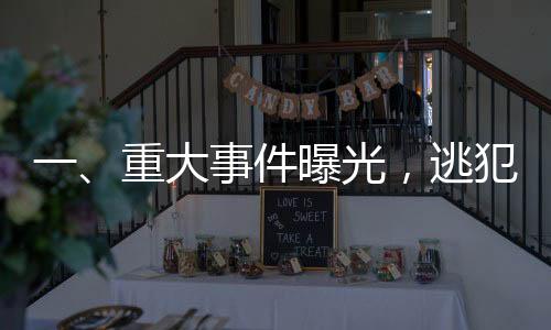 一、重大事件曝光，逃犯駕車(chē)沖撞民警事件震驚社會(huì)