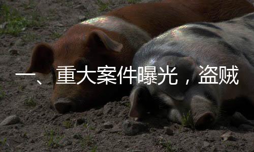一、重大案件曝光，盜賊偷走價(jià)值4397萬金馬桶