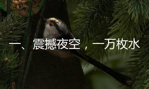一、震撼夜空，一萬枚水母煙花共舞蒼穹之頂