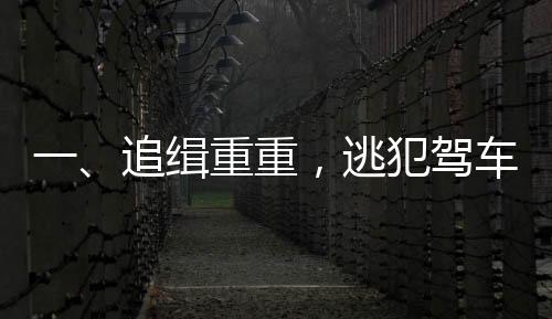 一、追緝重重，逃犯駕車沖撞民警事件揭秘