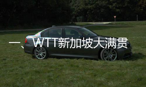 一、WTT新加坡大滿貫，賽場風(fēng)云再掀熱潮