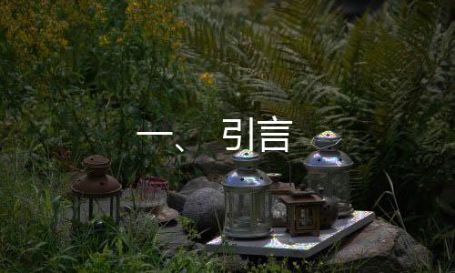 一、 引言