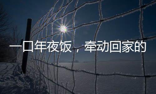 一口年夜飯，牽動回家的意義