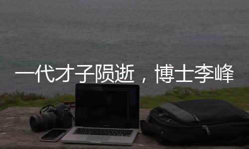 一代才子隕逝，博士李峰不幸辭世，留下無限惋惜與思考