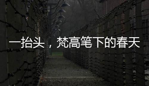 一抬頭，梵高筆下的春天躍然眼前