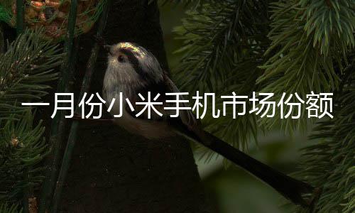 一月份小米手機市場份額位居中國第二，展現強勁競爭力