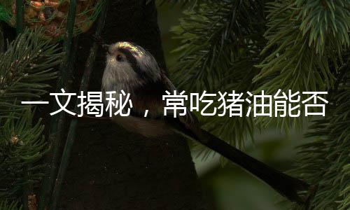 一文揭秘，常吃豬油能否治百病？真相并不簡單