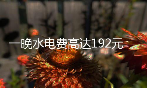 一晚水電費高達192元引發(fā)關(guān)注，官方展開調(diào)查