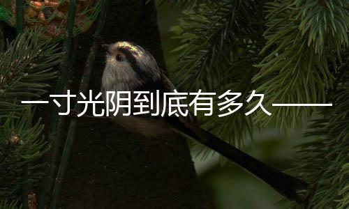 一寸光陰到底有多久——探尋時間的深度與廣度