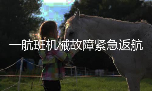一航班機(jī)械故障緊急返航，旅客安全獲保障