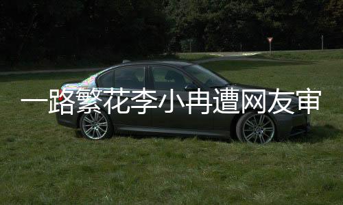 一路繁花李小冉遭網(wǎng)友審判，引發(fā)深度思考與網(wǎng)絡(luò)言論的反思