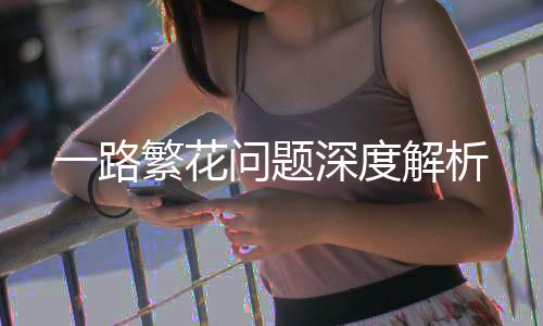 一路繁花問題深度解析