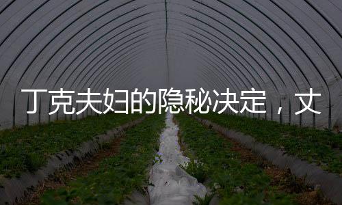 丁克夫婦的隱秘決定，丈夫在外偷偷生子引發(fā)深度探討