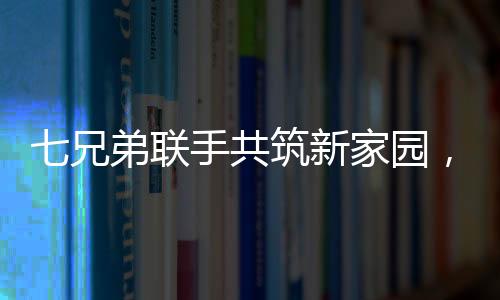 七兄弟聯(lián)手共筑新家園，重建宅基地，重塑親情墻