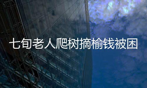 七旬老人爬樹摘榆錢被困事件