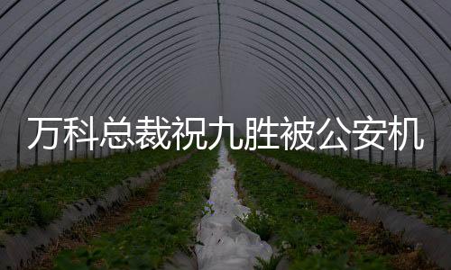 萬科總裁祝九勝被公安機關(guān)帶走引發(fā)業(yè)界震動