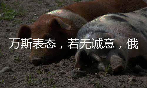 萬(wàn)斯表態(tài)，若無(wú)誠(chéng)意，俄方或?qū)⒚媾R制裁