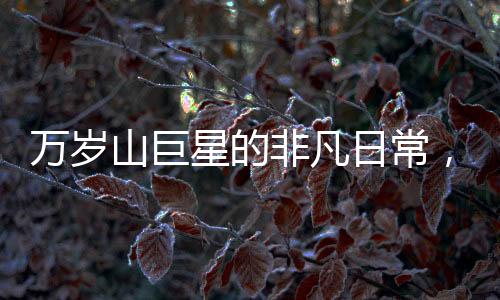 萬(wàn)歲山巨星的非凡日常，演員睡巨無(wú)霸大床，穿超大鞋碼揭秘