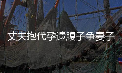 丈夫抱代孕遺腹子爭妻子遺產(chǎn)？一樁復雜的家庭紛爭揭秘
