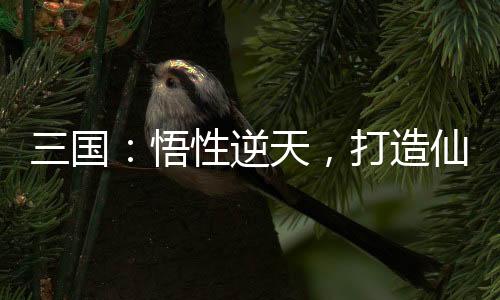 三國：悟性逆天，打造仙秦帝國