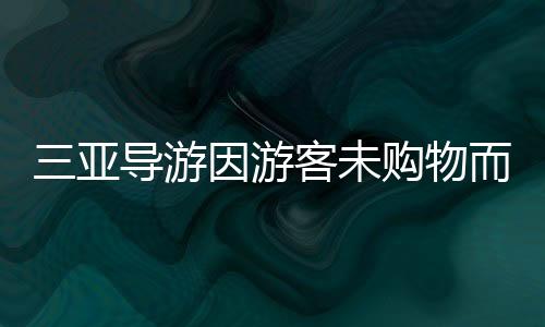三亞導(dǎo)游因游客未購物而破口大罵？舊聞回顧