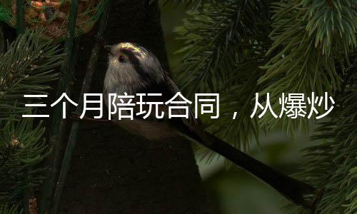 三個月陪玩合同，從爆炒楊密開始