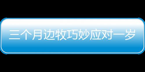 三個月邊牧巧妙應(yīng)對一歲德牧行為，引發(fā)關(guān)注——一場關(guān)于寵物互動的探討